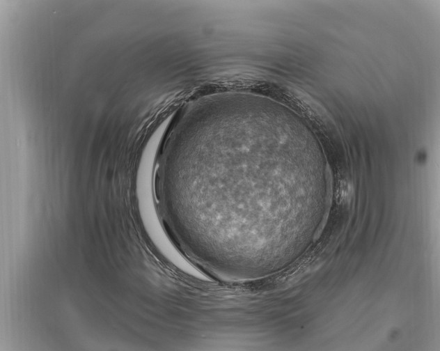 X0000095541108200712211341