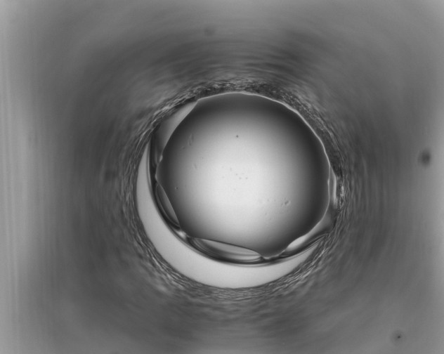 X0000095541109200712211341