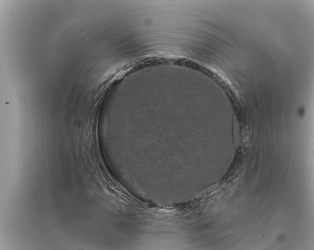 X0000095541110200712211341