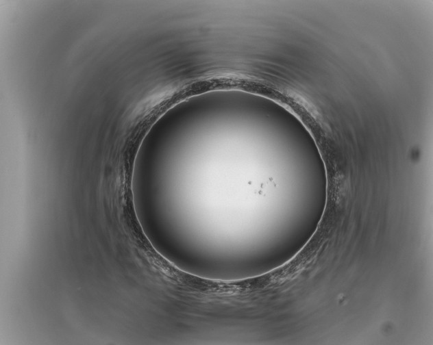 X0000095541111200712211341