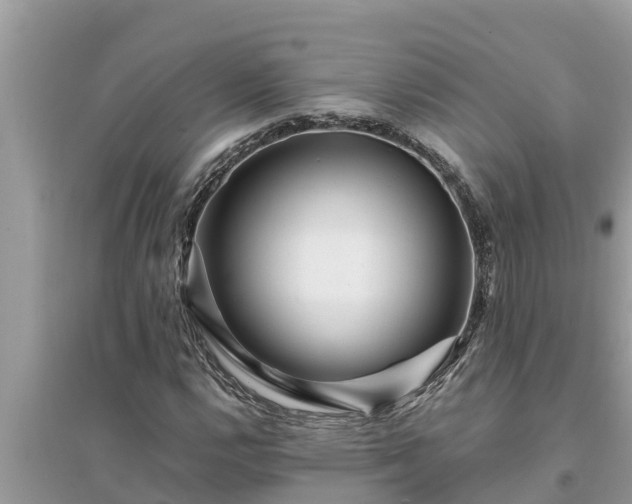 X0000095541112200712211341