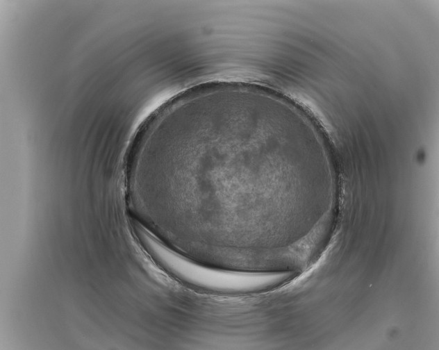 X0000095541114200712211341