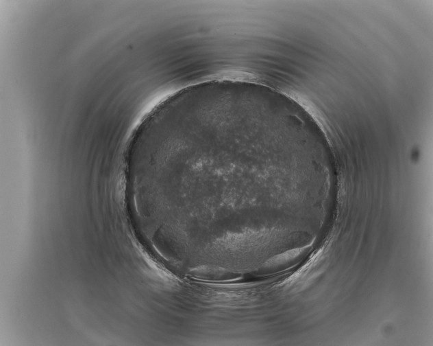 X0000095541115200712211341