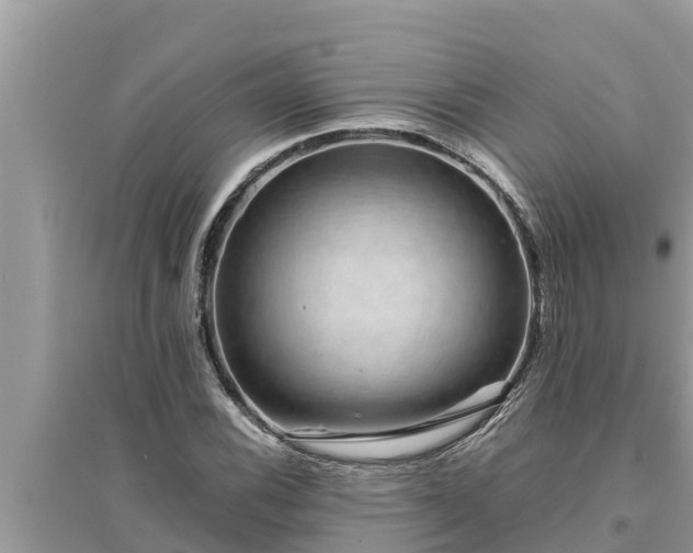 X0000095541116200712211341