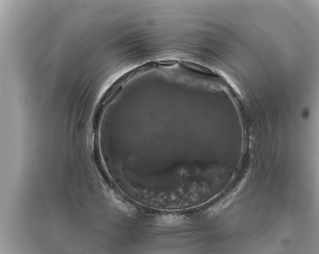 X0000095541117200712211341