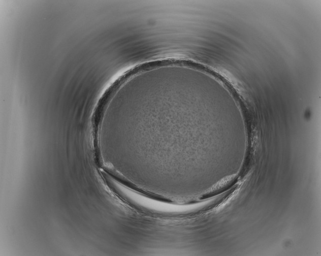 X0000095541118200712211341