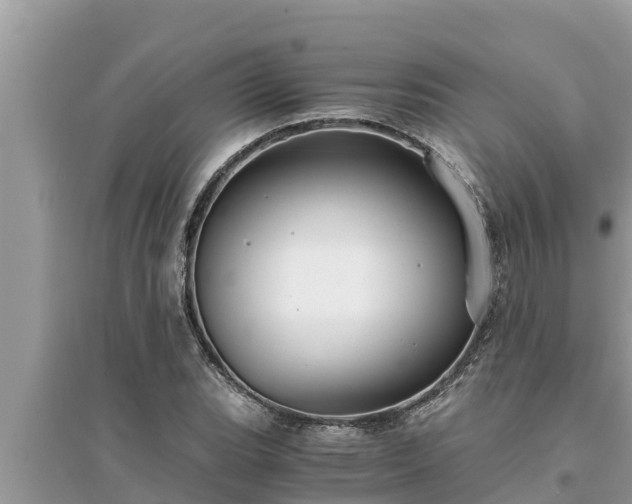 X0000095541119200712211341