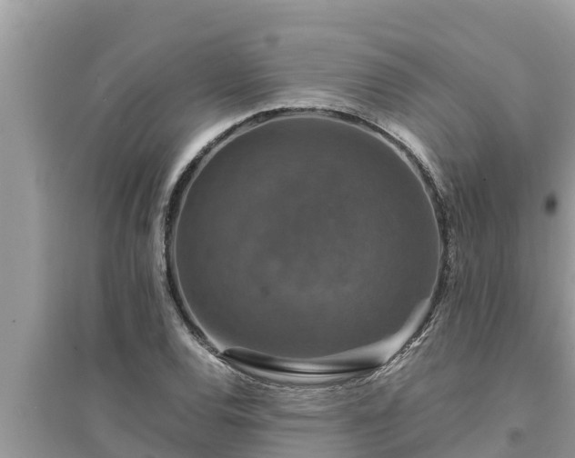 X0000095541120200712211341