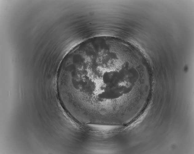 X0000095541121200712211341