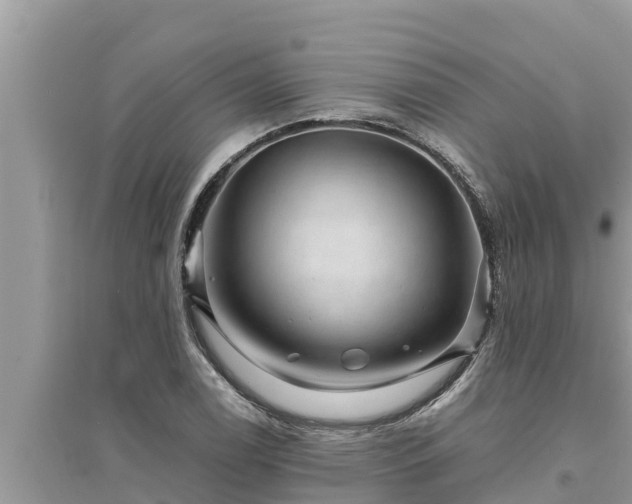 X0000095541122200712211341