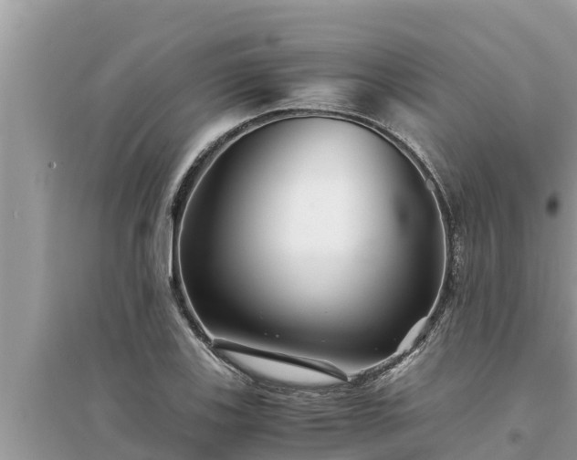 X0000095541123200712211341