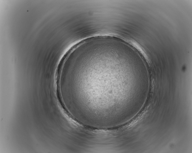 X0000095541124200712211341