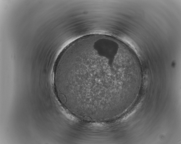 X0000095541125200712211341