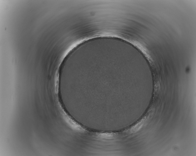 X0000095541126200712211341