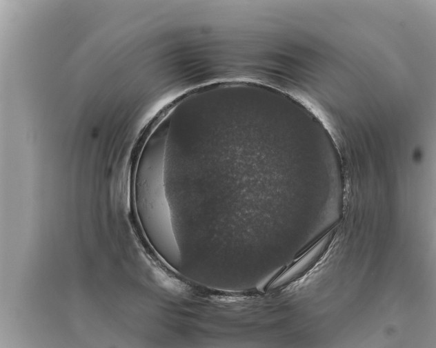 X0000095541127200712211341