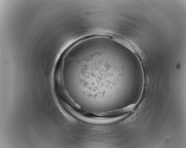 X0000095541128200712211341