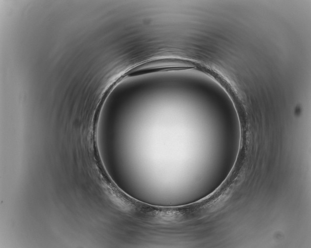 X0000095541129200712211341