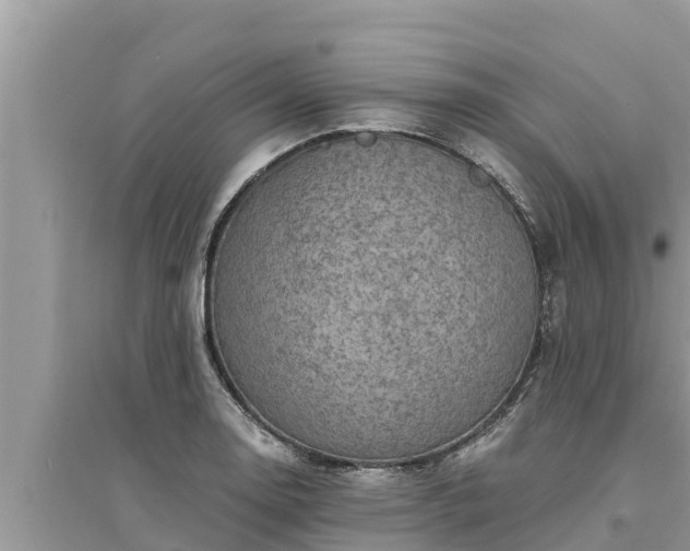 X0000095541130200712211341