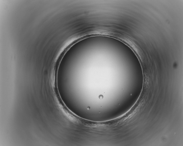 X0000095541131200712211341