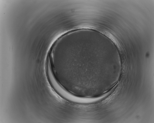 X0000095541132200712211341