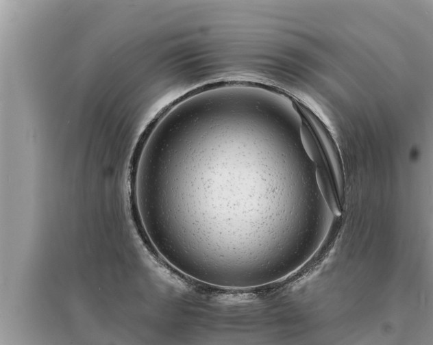 X0000095541133200712211342