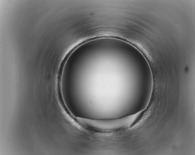 X0000095541134200712211342