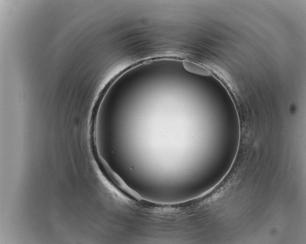 X0000095541135200712211342