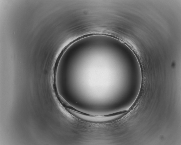 X0000095541136200712211342