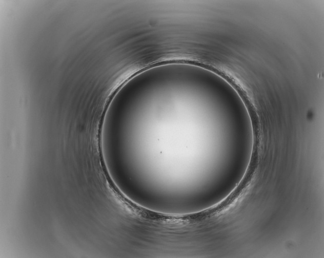 X0000095541137200712211342