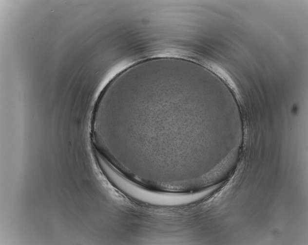 X0000095541138200712211342