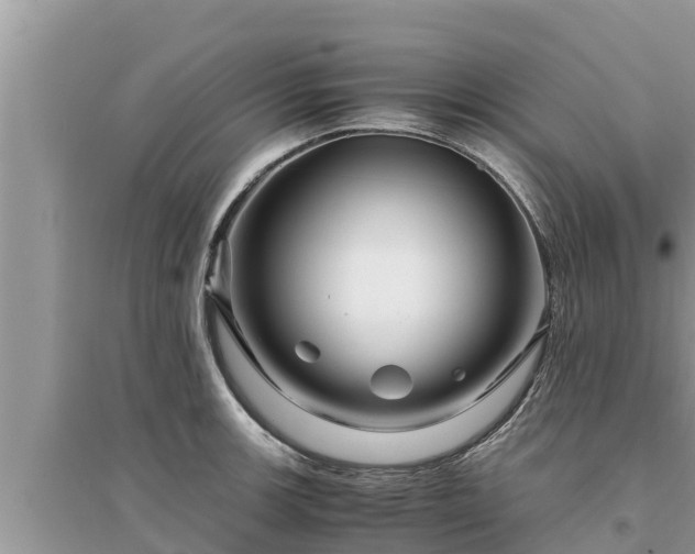 X0000095541139200712211342