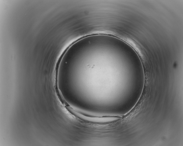 X0000095541140200712211342