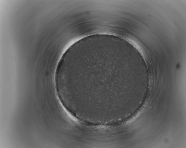 X0000095541141200712211342