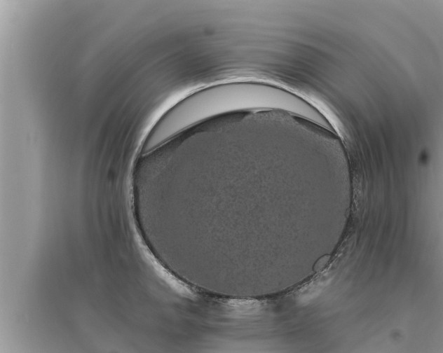 X0000095541142200712211342