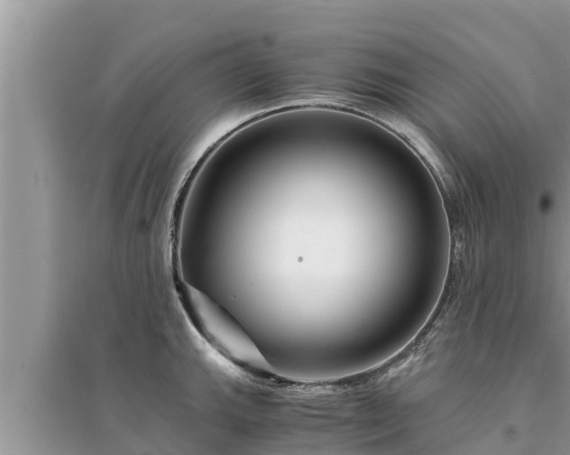 X0000095541143200712211342