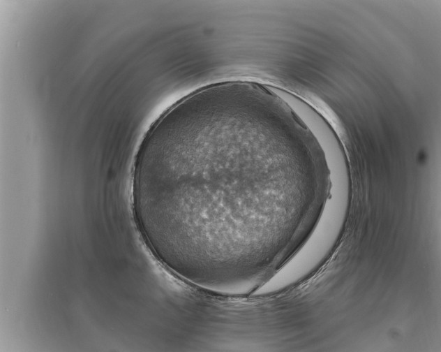 X0000095541144200712211342