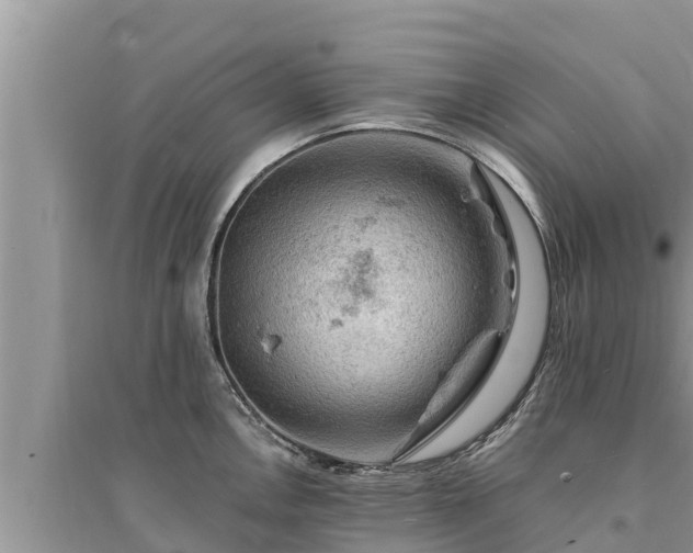 X0000095541146200712211342