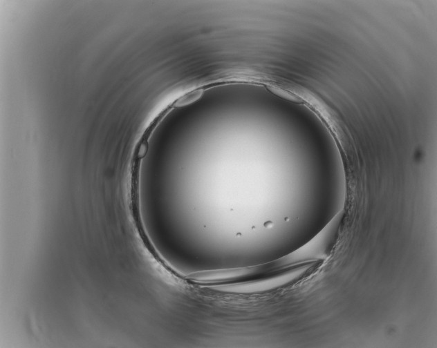 X0000095541147200712211342