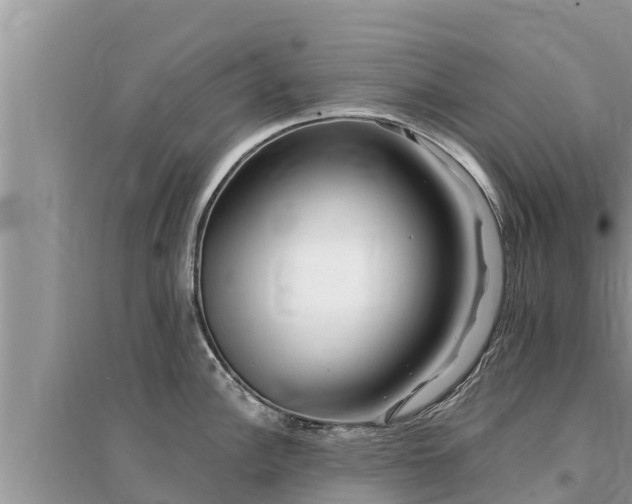 X0000095541148200712211342