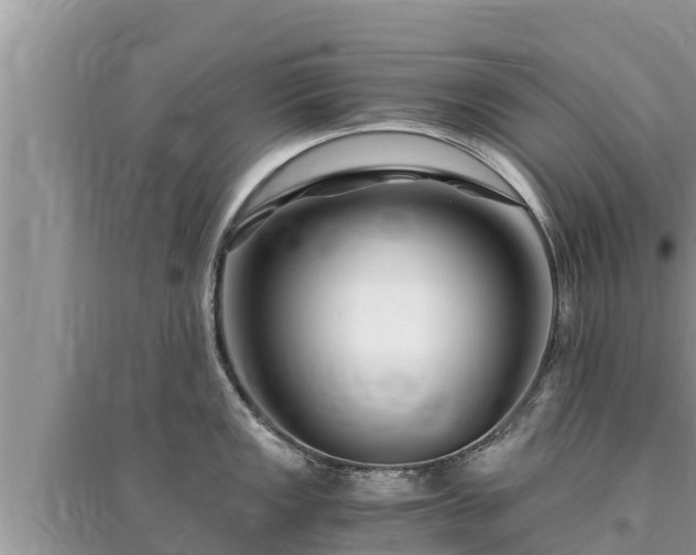 X0000095541149200712211342