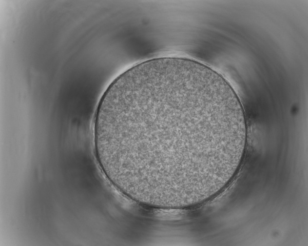 X0000095541150200712211342