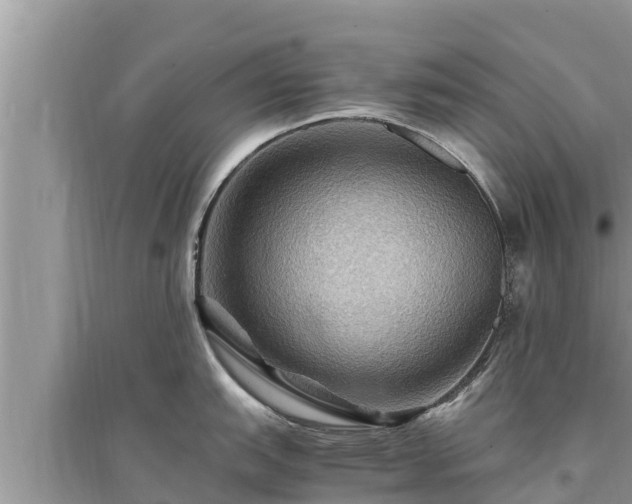 X0000095541151200712211342