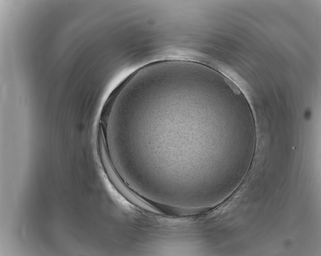 X0000095541152200712211342