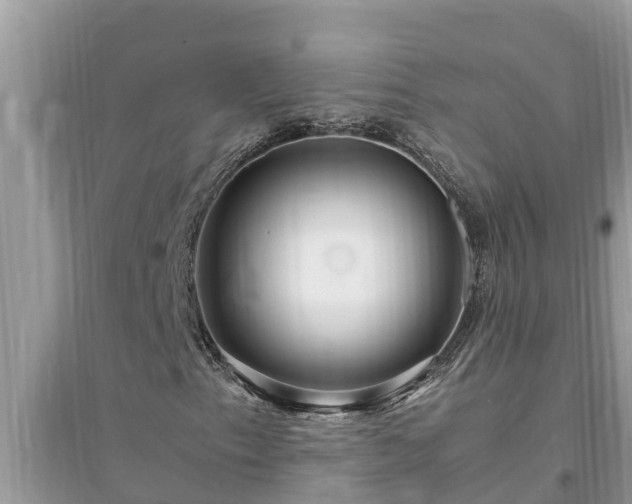 X0000095541153200712211341