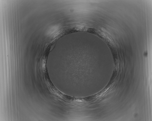 X0000095541154200712211341