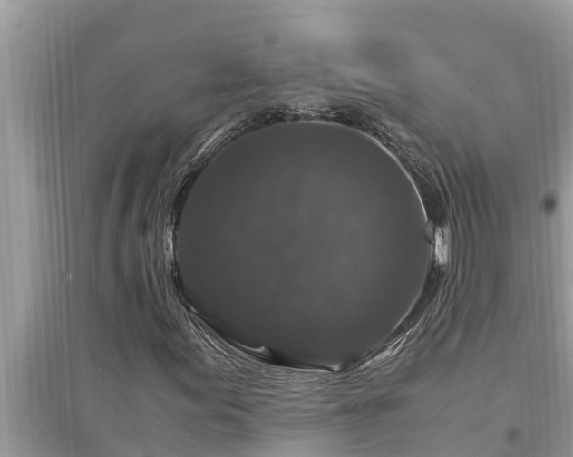 X0000095541155200712211341