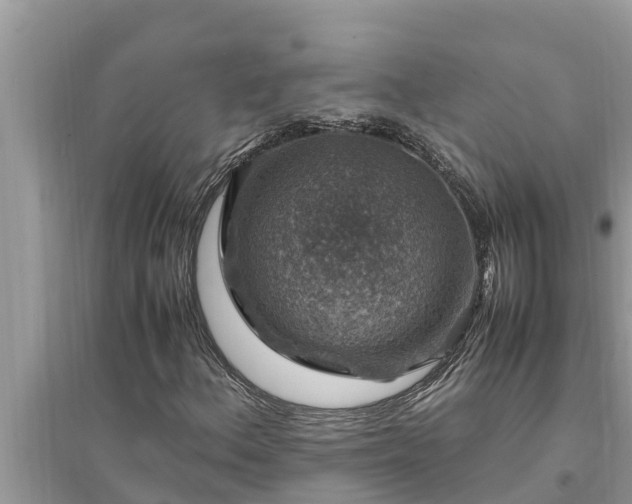 X0000095541156200712211341