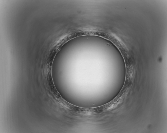 X0000095541157200712211341