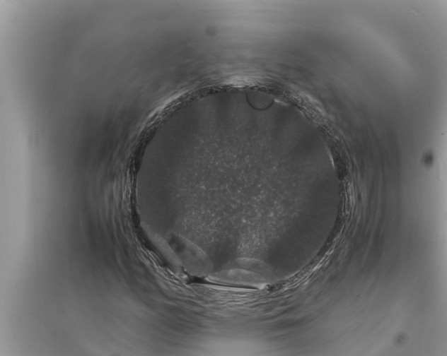 X0000095541158200712211341