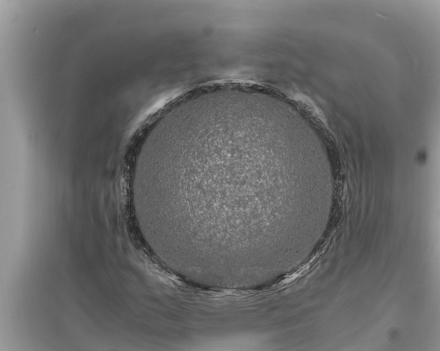 X0000095541159200712211341